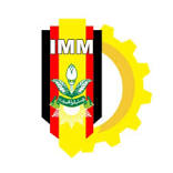 Logo IMM